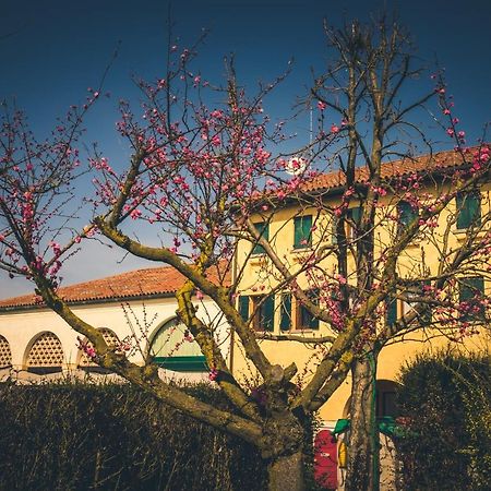 Вилла Le Vigne Morosina Cessalto Экстерьер фото