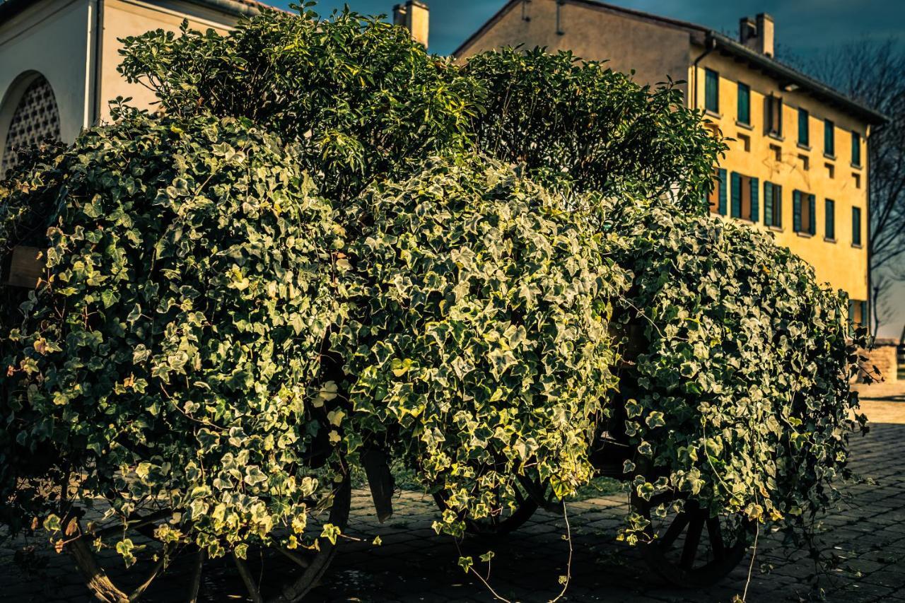 Вилла Le Vigne Morosina Cessalto Экстерьер фото